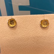 8mm鎳鐵隕石(天鐵)925耳環