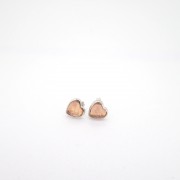 鎳鐵隕石(天鐵)925耳環