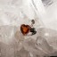 黃水晶/碧璽925吊墜