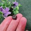 鎳鐵隕石(天鐵)8mm珠間 - 黑