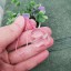 粉紅晶吊墜(射手座)
