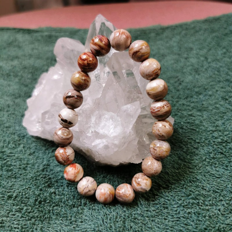 Petrified wood bracelet shop
